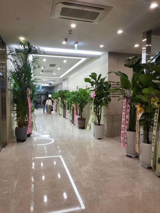 Căn hộ Stayc Myeongdong Seoul